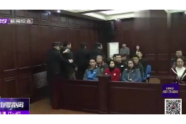 天心贷款清欠服务